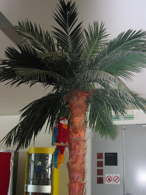 Muc006.jpg
