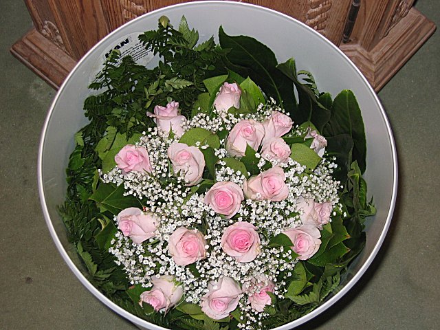 Muc010.jpg