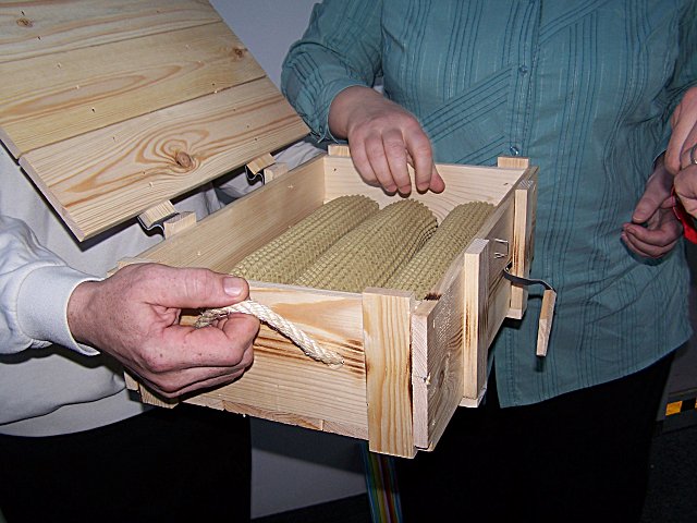 Muc048.jpg